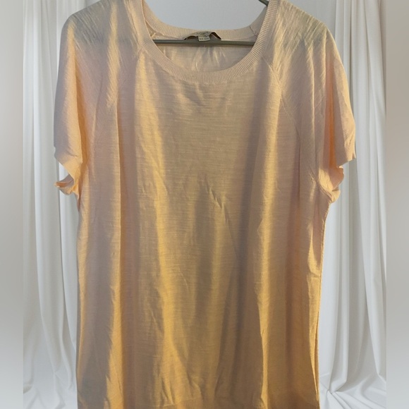 LOFT Sweaters - NWT LIght Pink Ann Taylor Loft Light Pink Plus Size Sweater, Women's 16/18